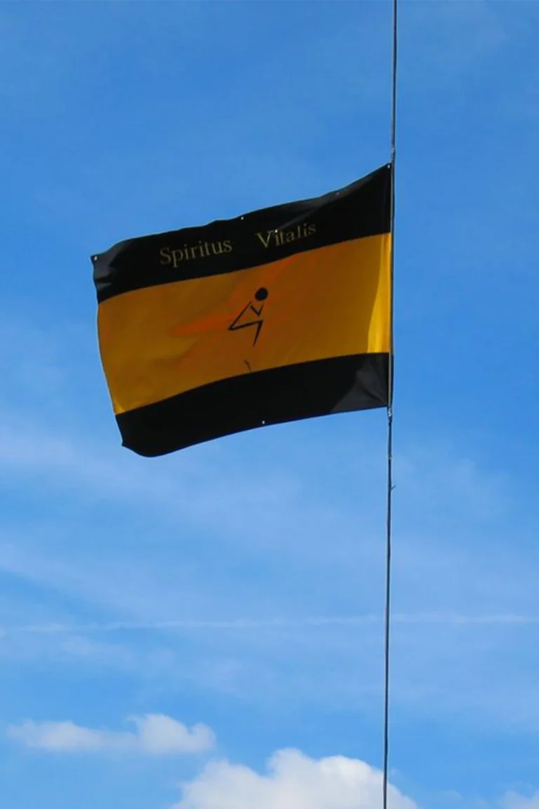 sv-vlag-01